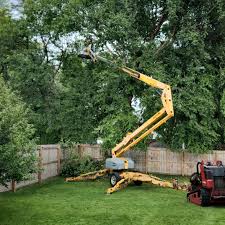 Best Tree Disease Treatment  in Audubon, PA