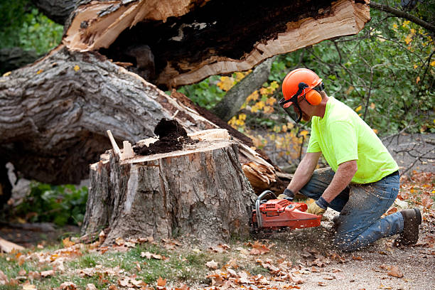 Mulching Services in Audubon, PA